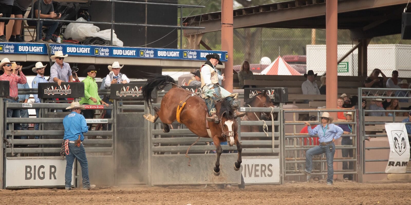 Image of a horse bucking a rider at the Colorado State Fair in Pueblo, Colorado