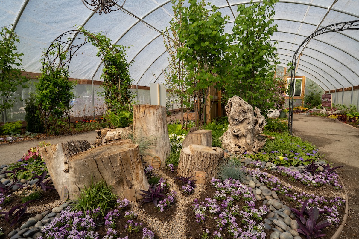 Image of the Butterfly House at Chatfield Farms in Colorado