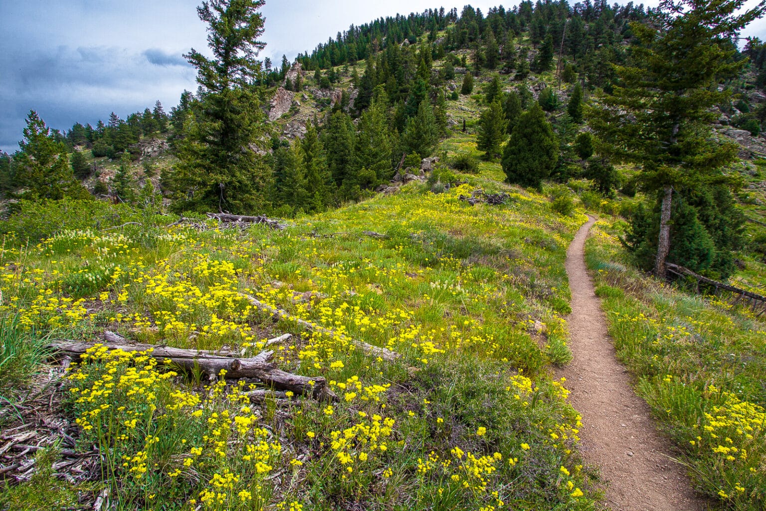 Eldorado Springs, Colorado Activities and Events Boulder County