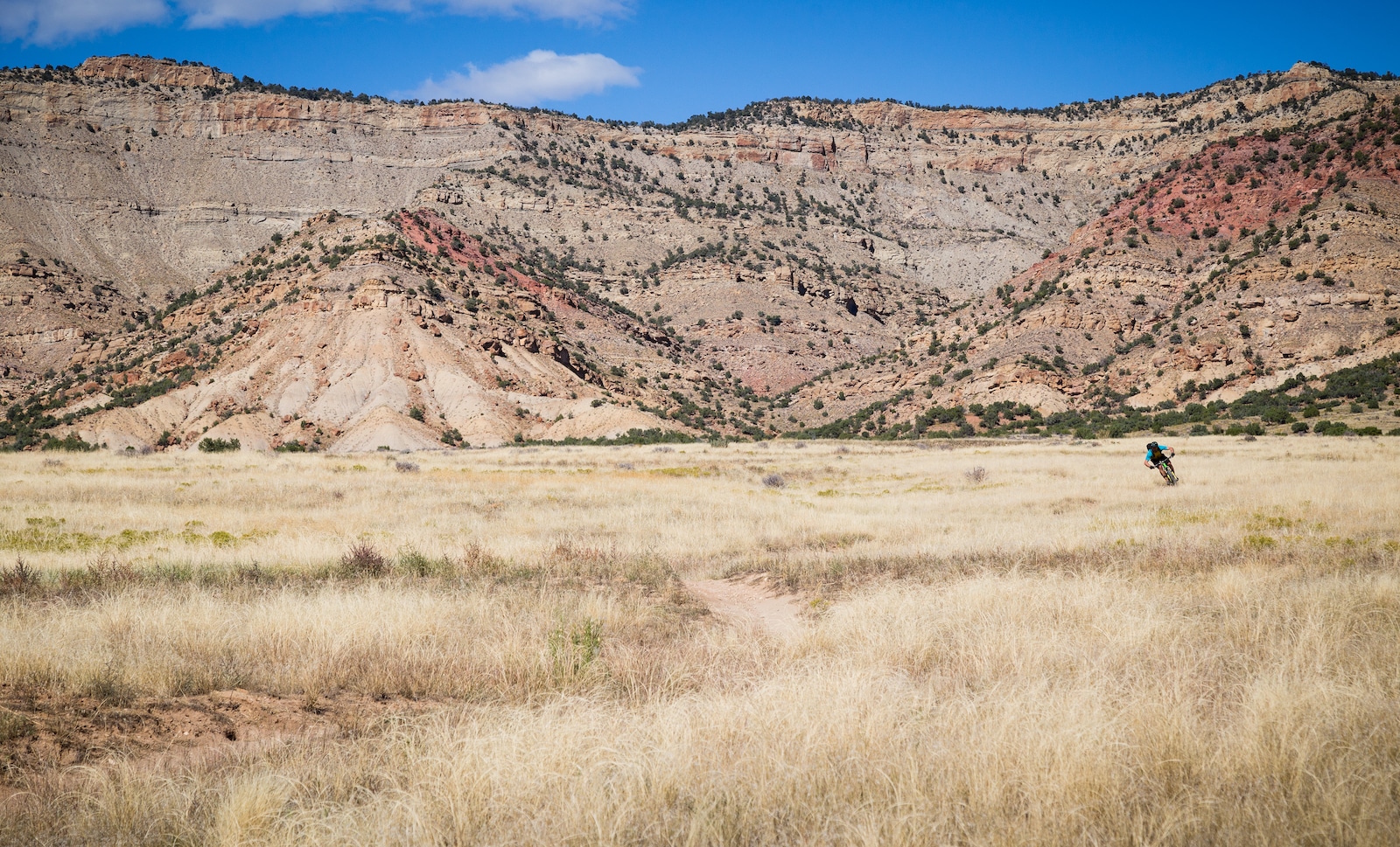 Fruita CO Mountain Biker