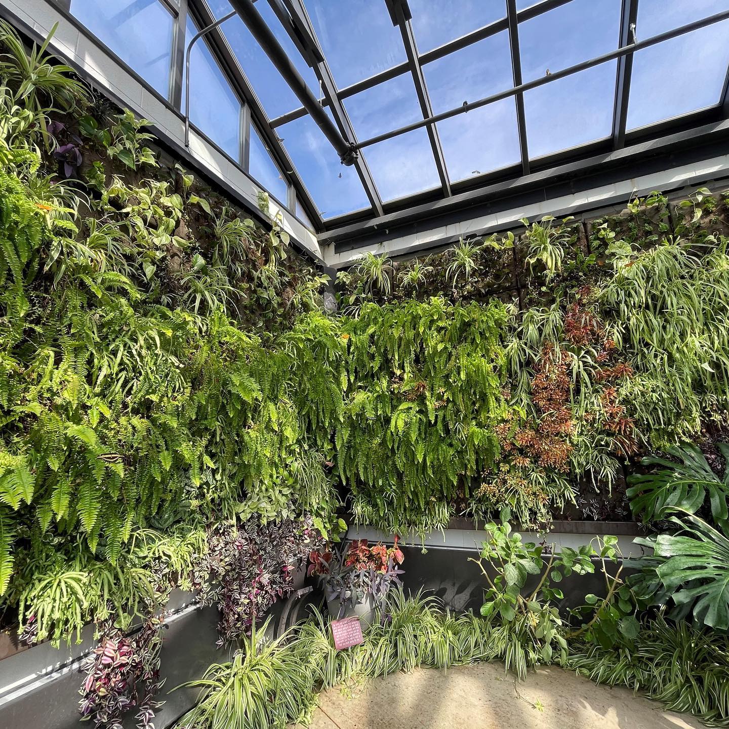 Image of the Butterfly House at The Gardens on Spring Creek in Fort Collins, Colorado