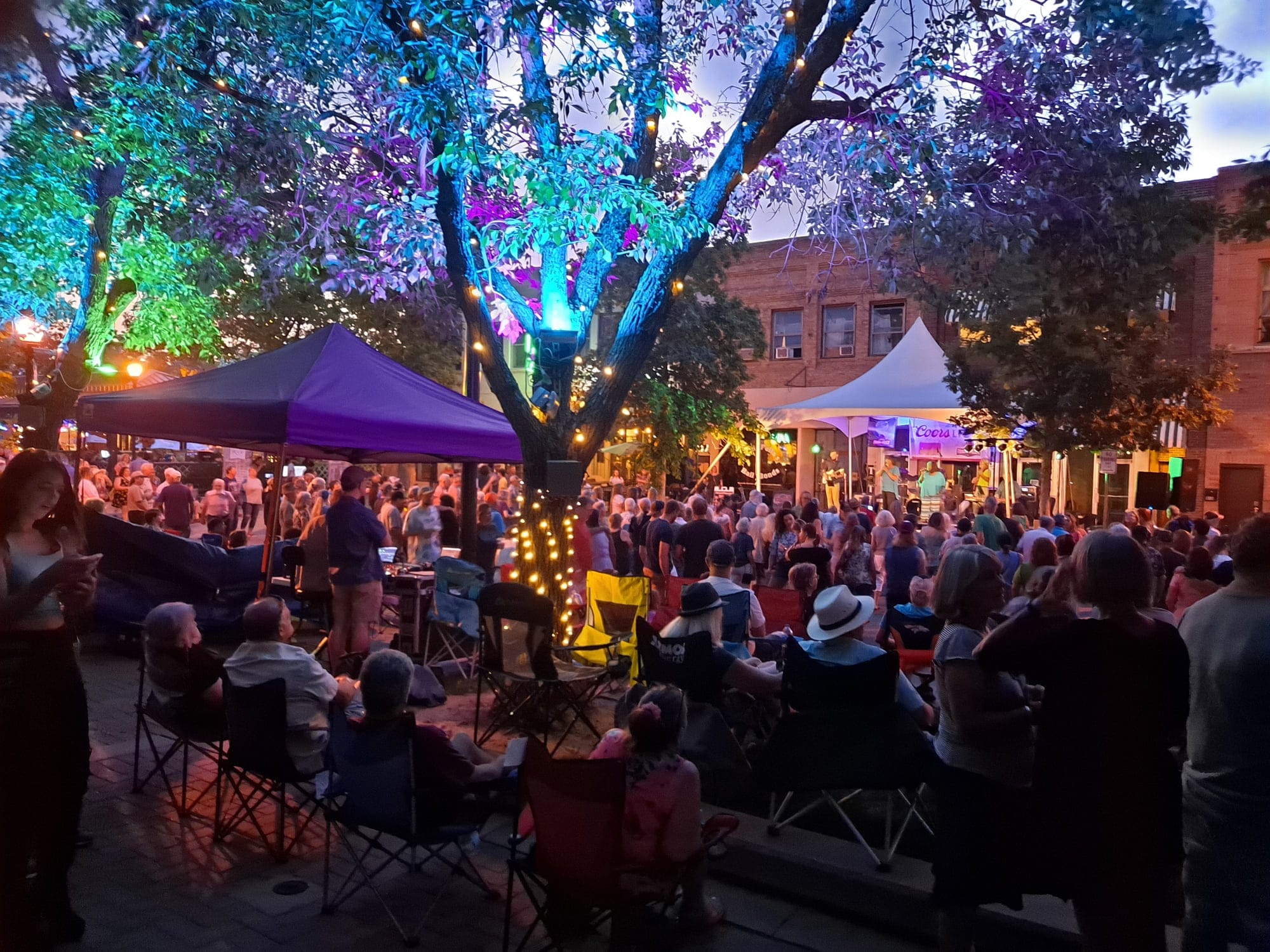 Crowd of people listening to music at night