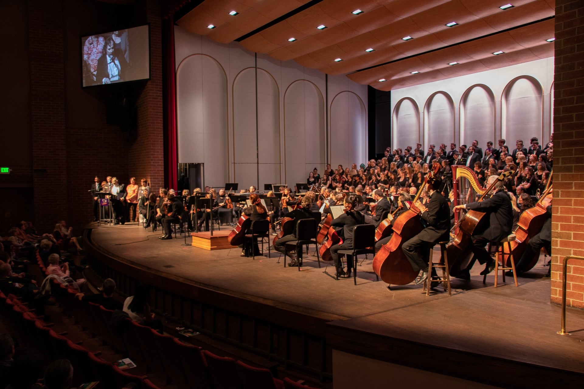 Orchestra performance