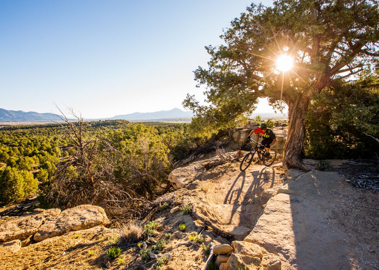 Biker on path