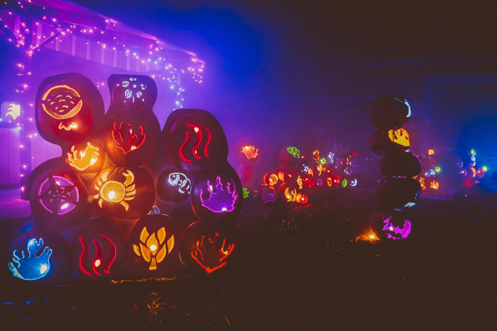 Carved pumpkin display with lights