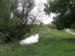 Image of Rough & Ready Park in Longmont, Colorado