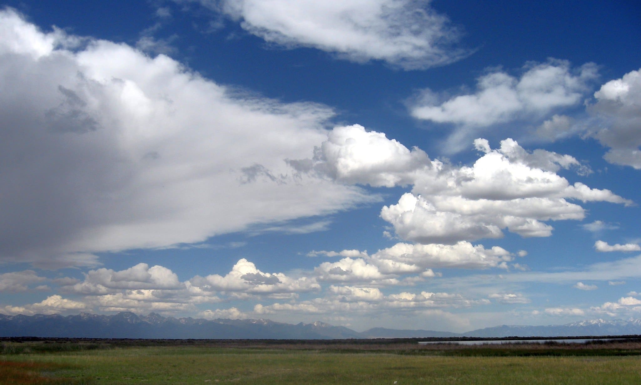 Blue skies over field