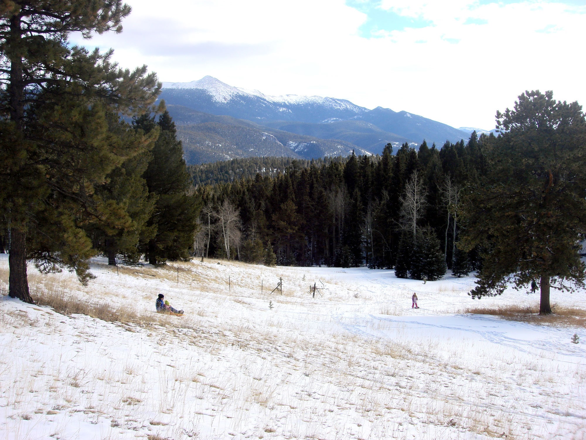 A snowy slope interspersed with pine trees and two sledders in the mountains of Colorado.