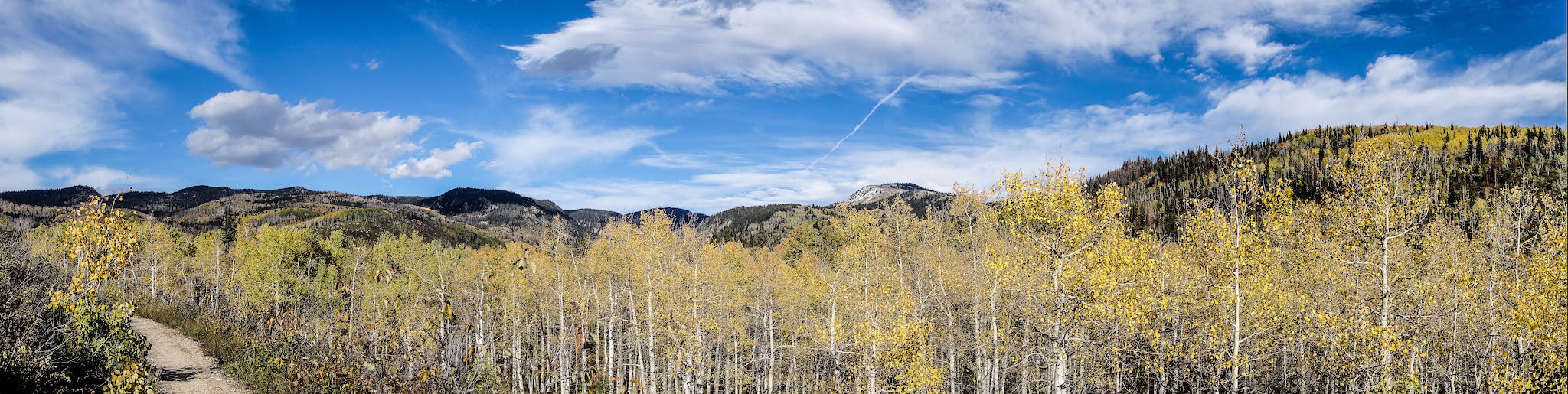 Spring Creek Trail Buffalo Pass Road Colorado