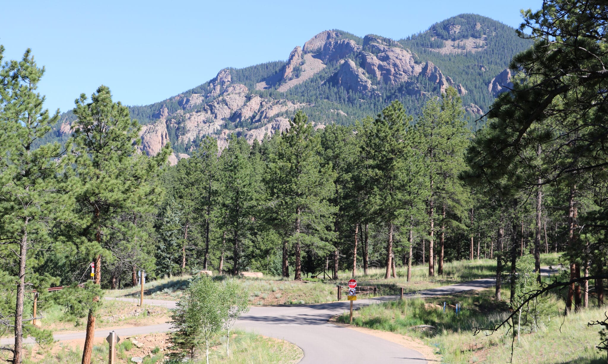 A treed landscape punctuated by large mountains and prominent rocks breaking above the canopies.