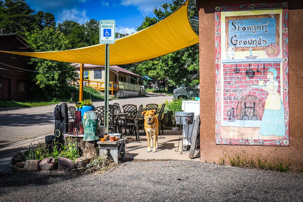 Dog outside of restaurant