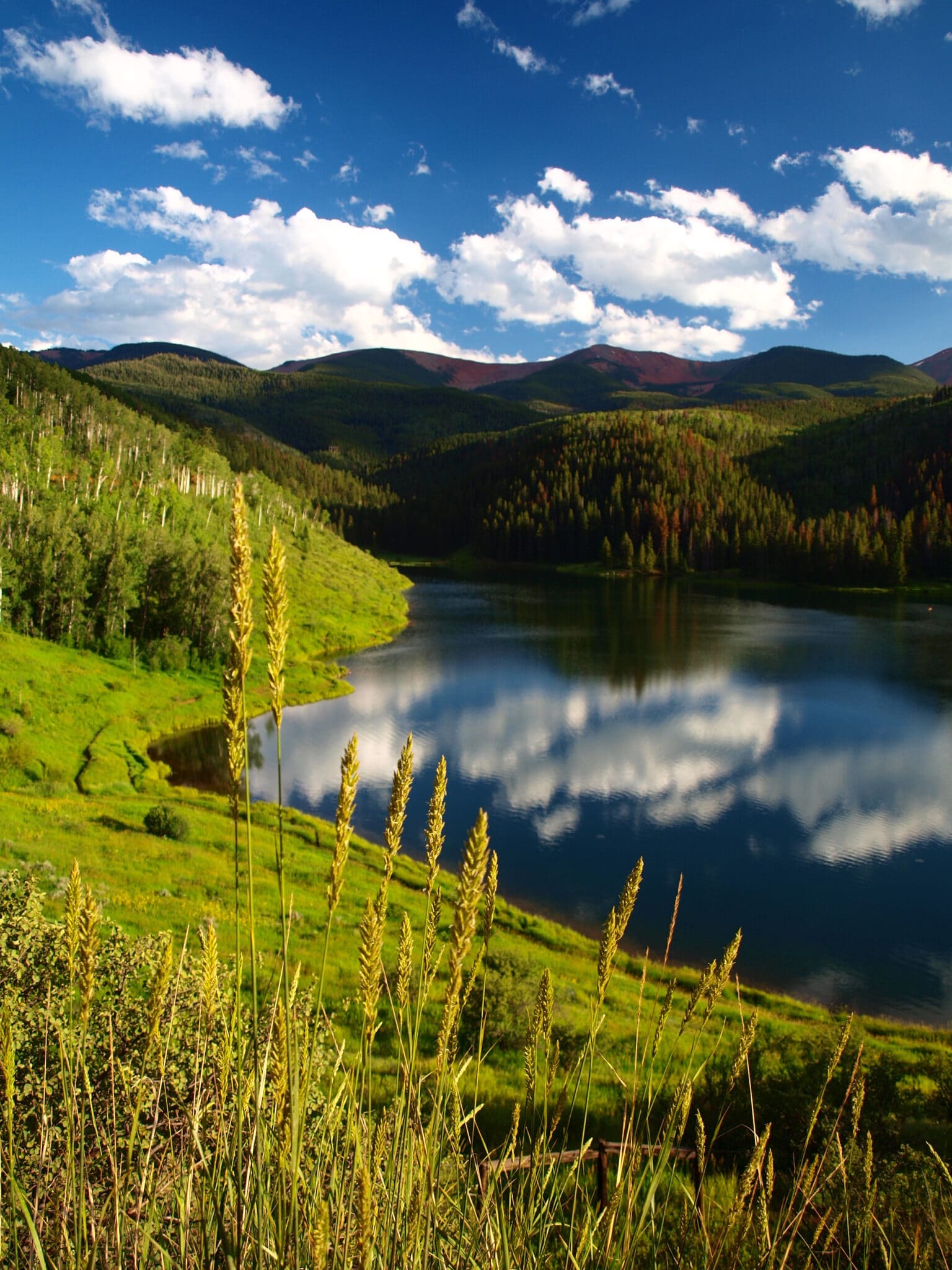 Lake and meadows under blue skie with clouds