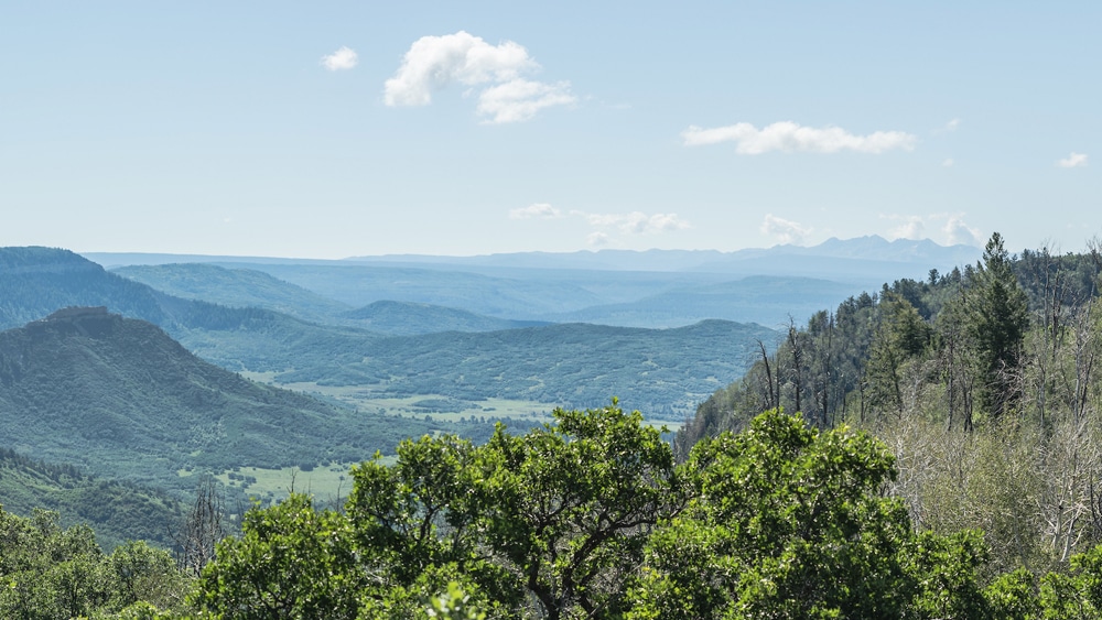 View of green valley