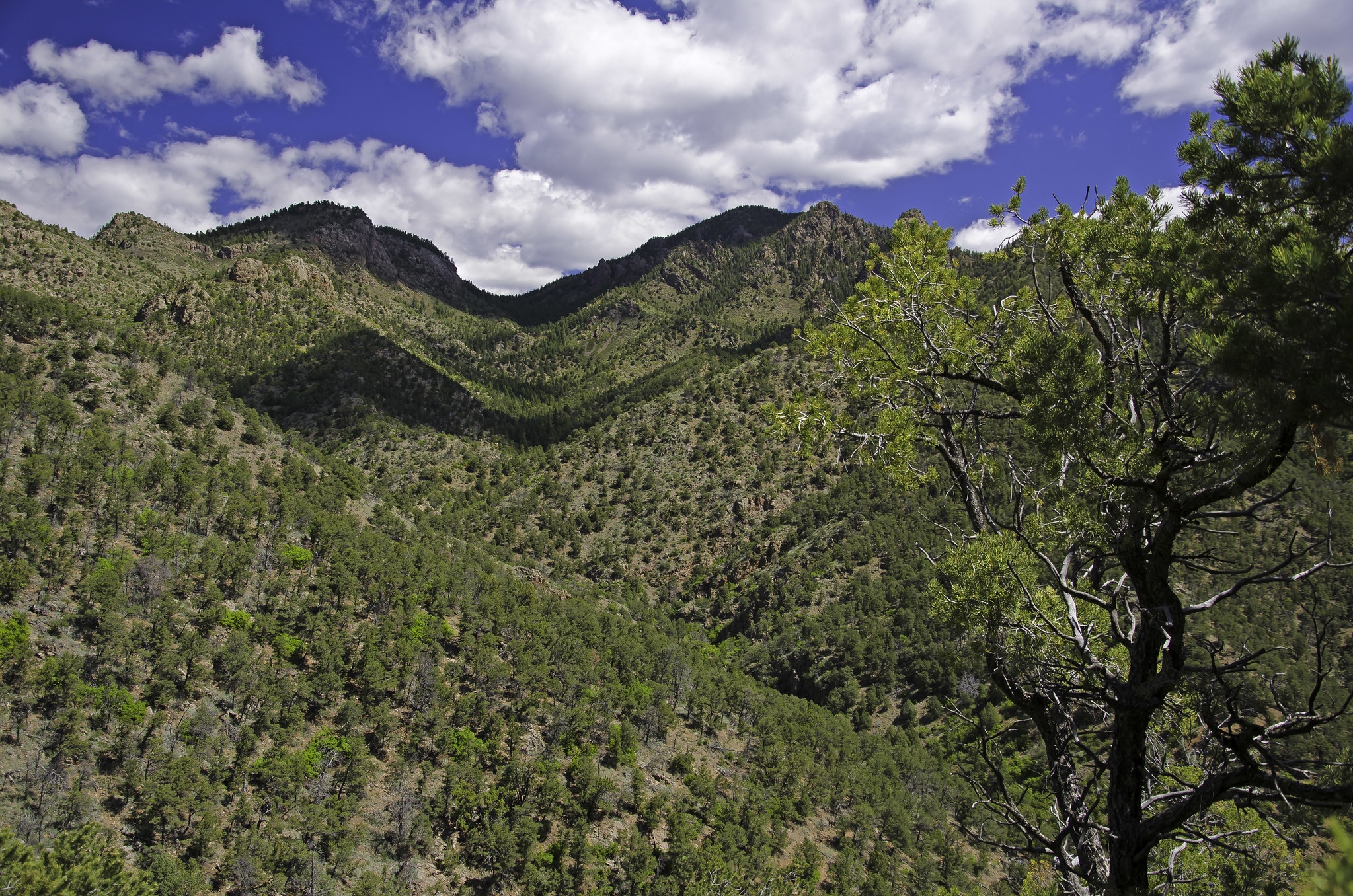 Green mountains and blue sky