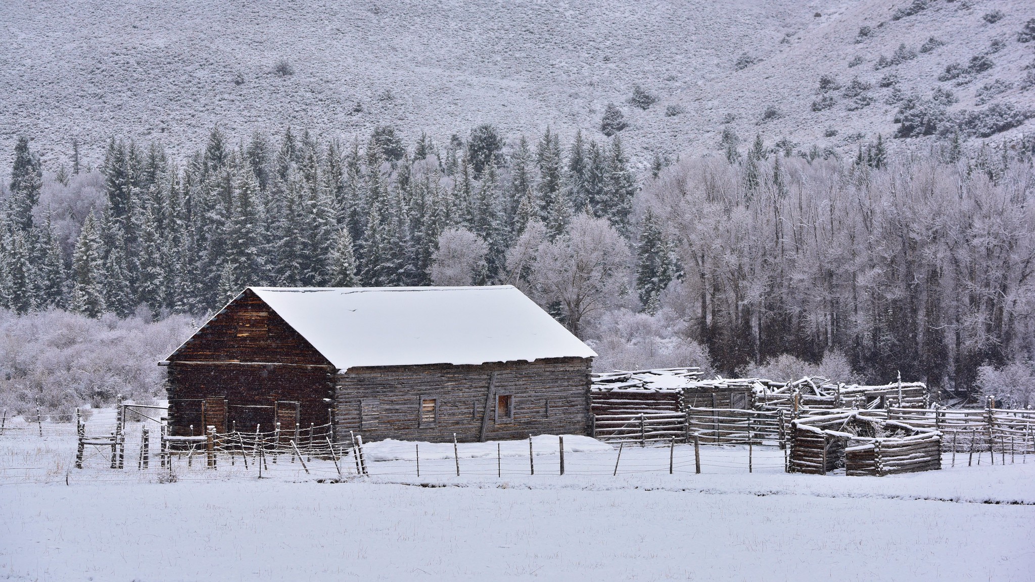 Snow covered barn