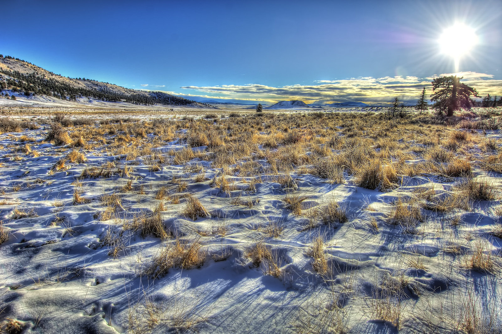 Buffalo Peaks Wilderness, Colorado