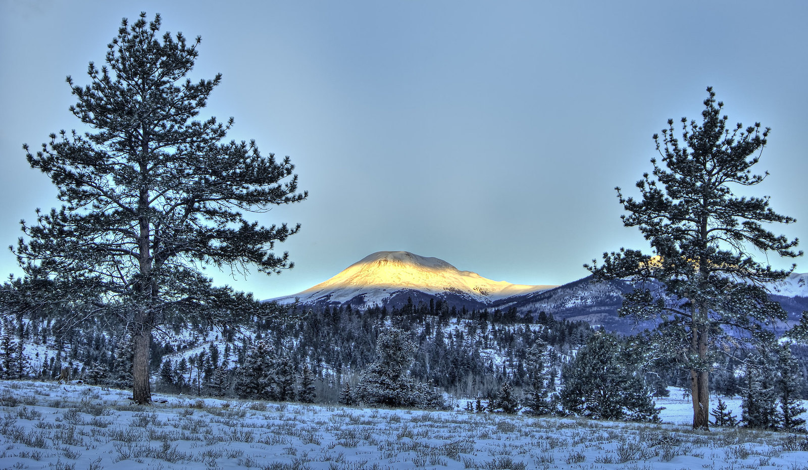 Buffalo Peaks Wilderness, Colorado