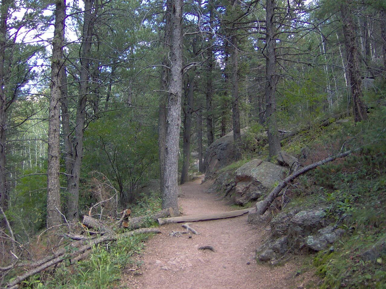 Devils Head Trail, Colorado