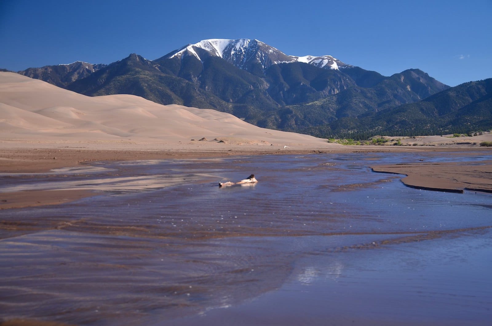 Medano Creek, Mosca, Colorado