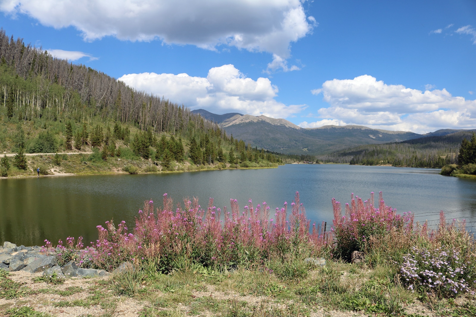 State Forest State Park, Colorado