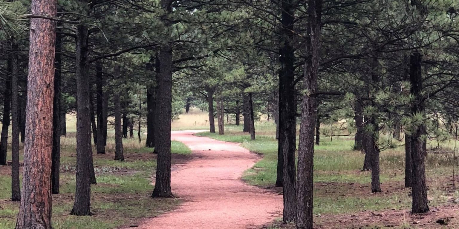 Black Forest Regional Park Colorado Springs, CO