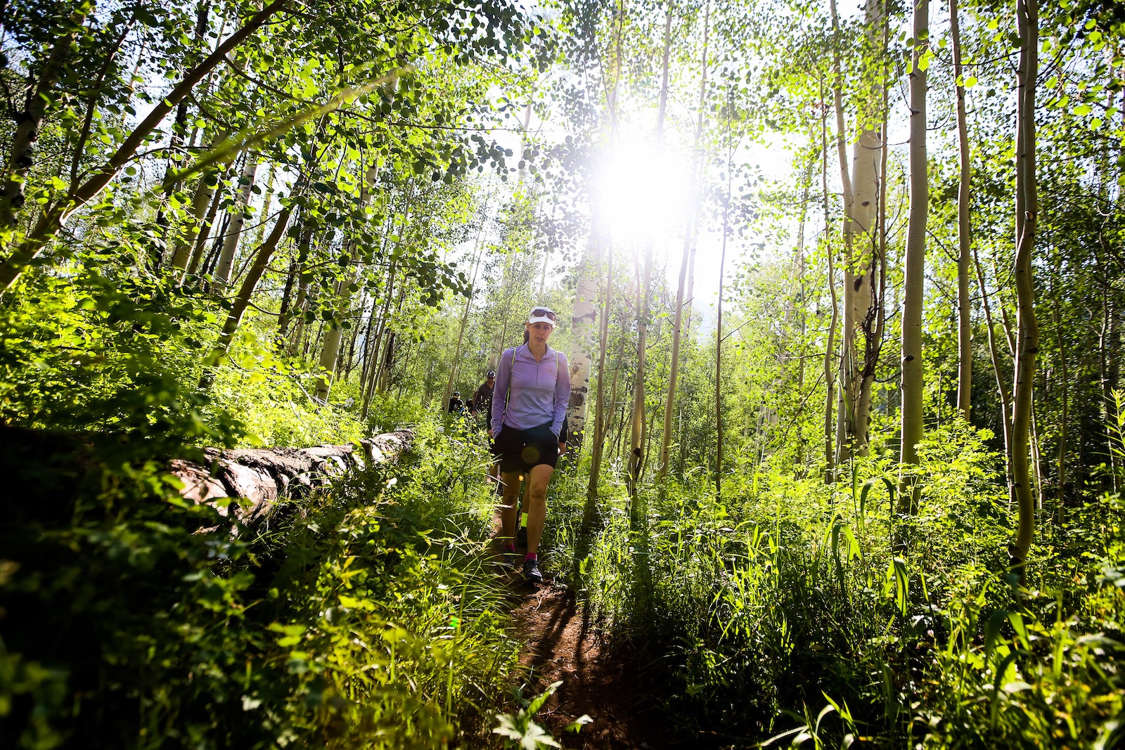 Continental Divide Trail Aspen CO