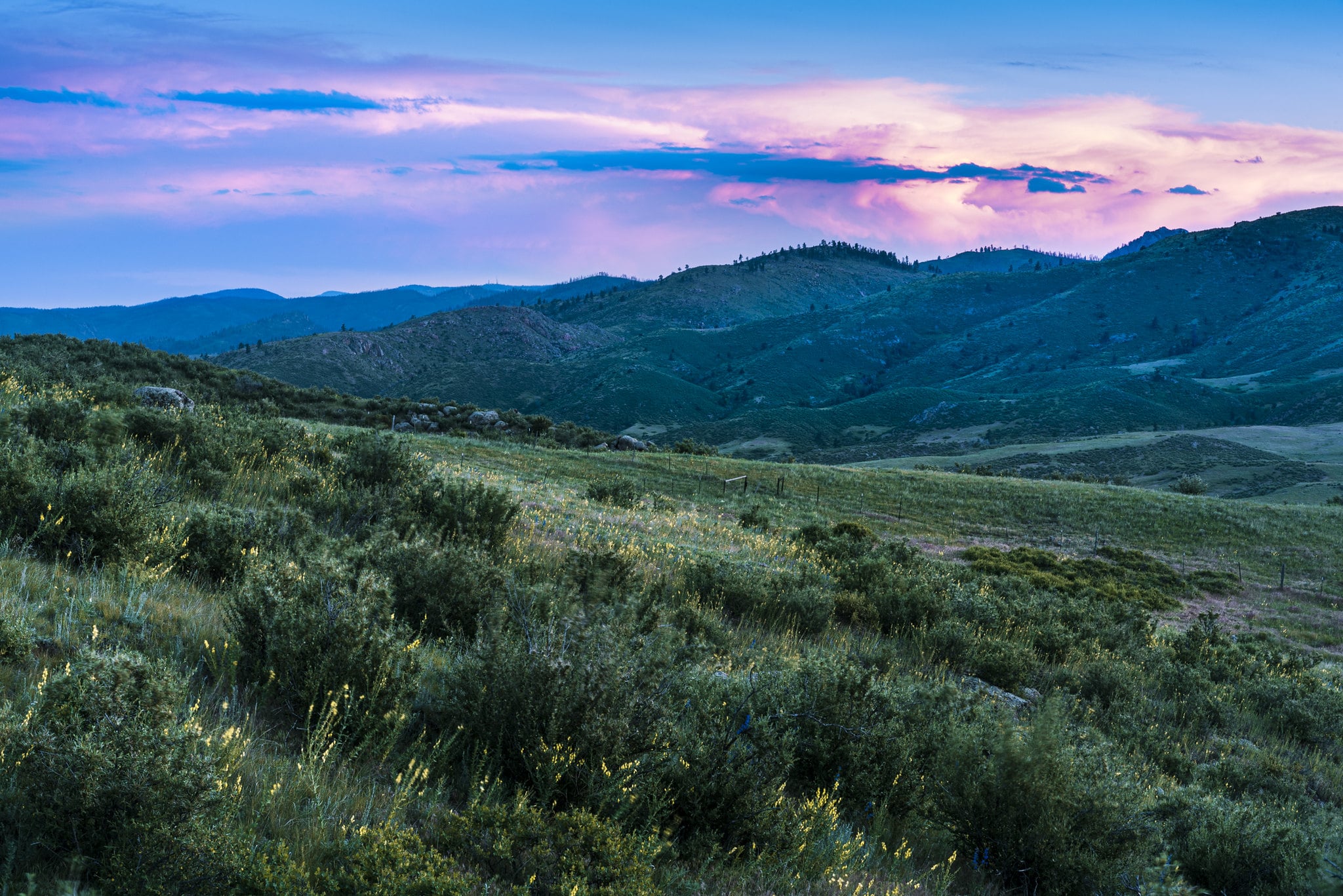 Sunset over grassy field