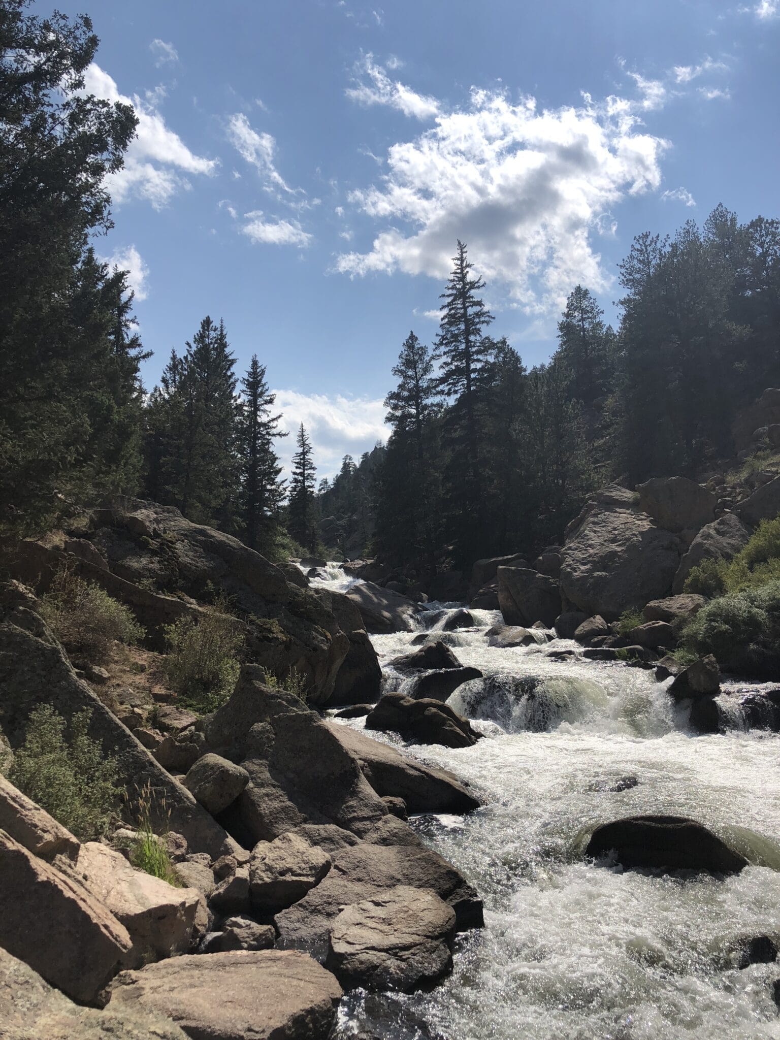 Creek running through alpine canyon