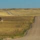 Red-tailed Hawk flies over a dirt road, in Northeastern Colorado