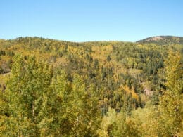 Golden Loop Historic Parkway near Cripple Creek CO Fall Aspen Colors