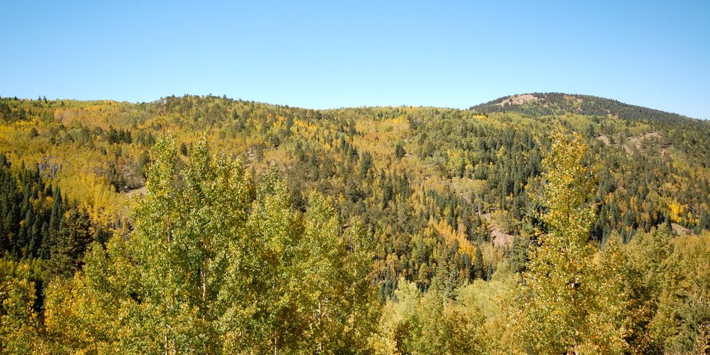 Golden Loop Historic Parkway near Cripple Creek CO Fall Aspen Colors