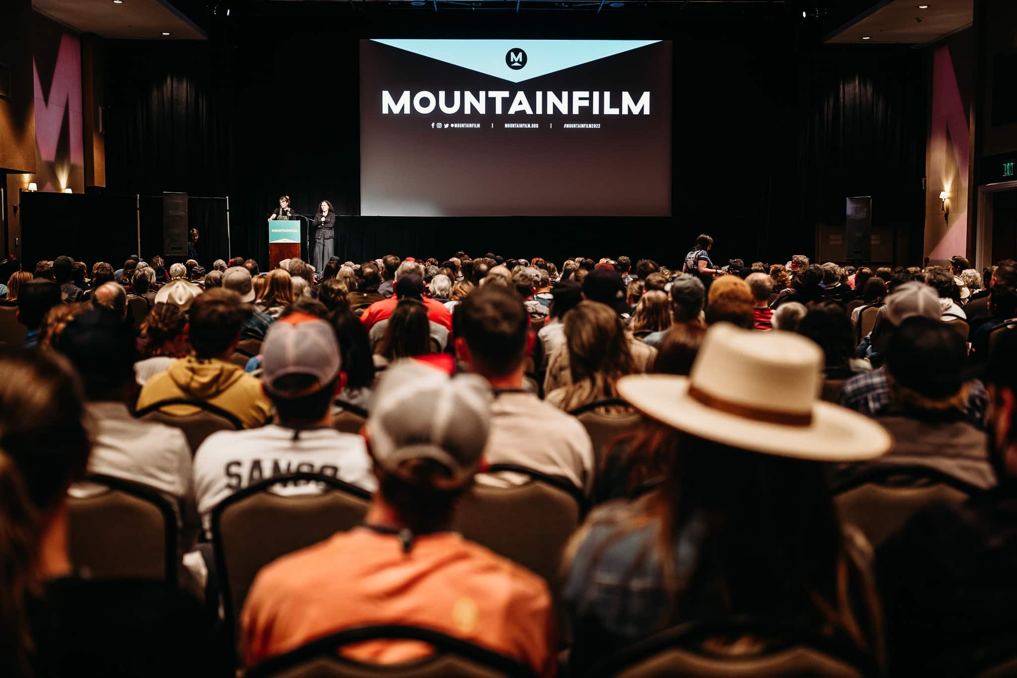 Audience at a film festival