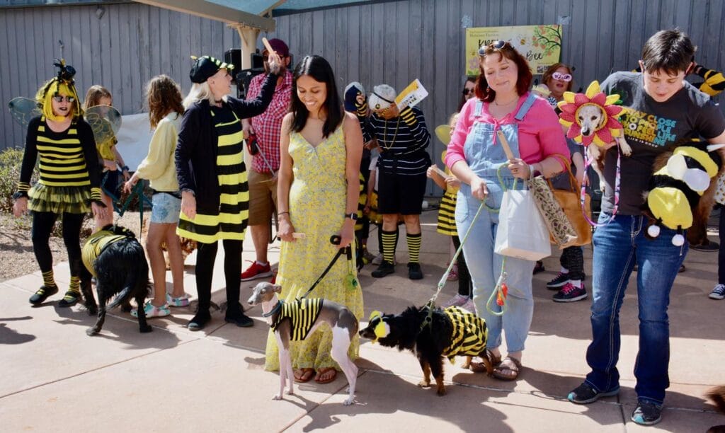 Festival-goers in bee costumes