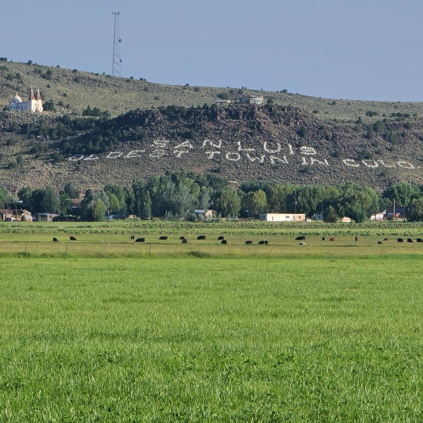 cow pasture and hill