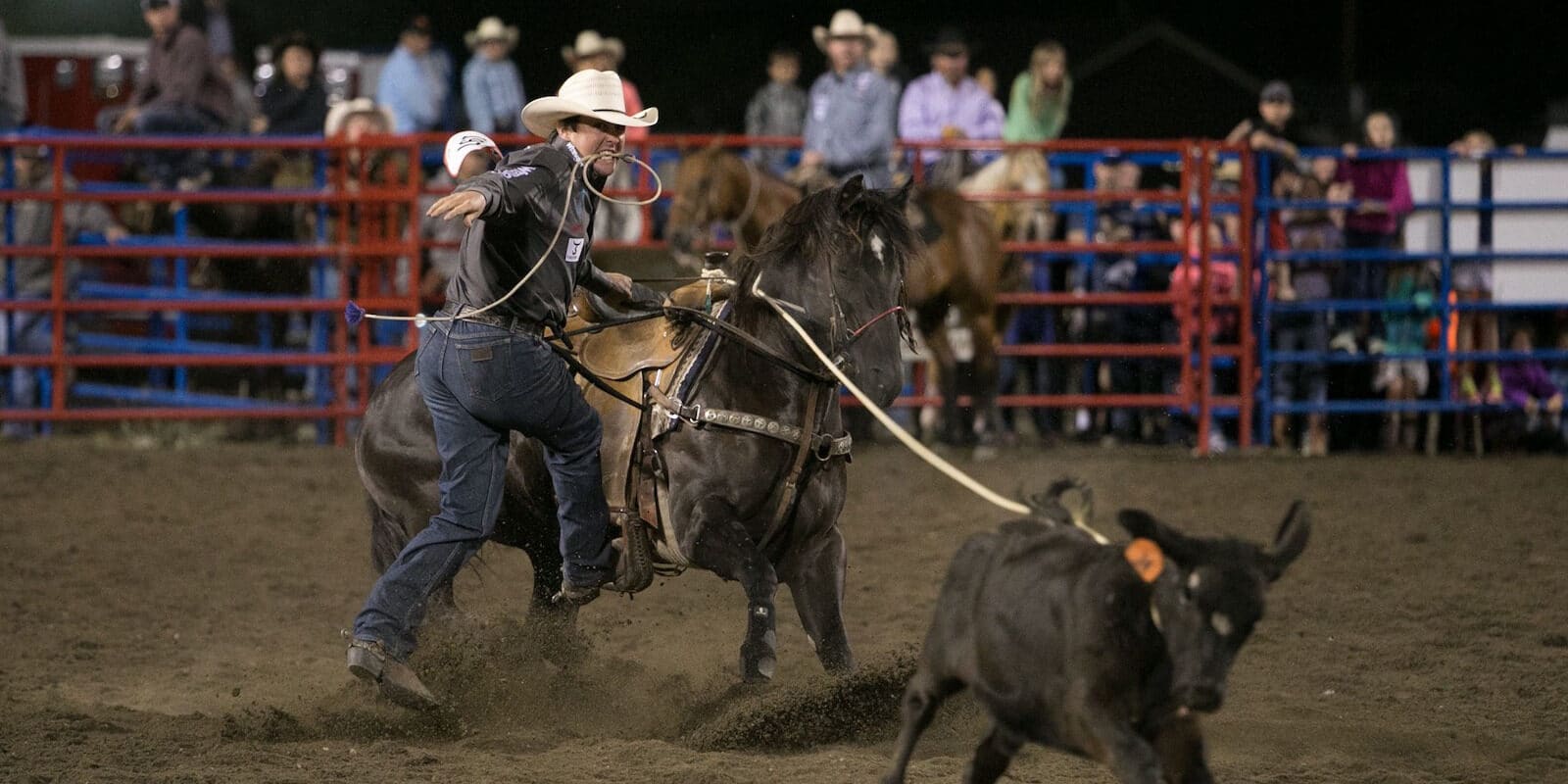 Image of the Steamboat Pro Rodeo Series in 2021 in COlorado