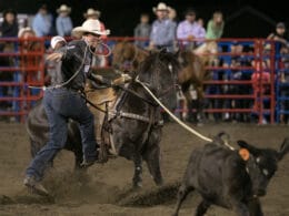 Image of the Steamboat Pro Rodeo Series in 2021 in COlorado