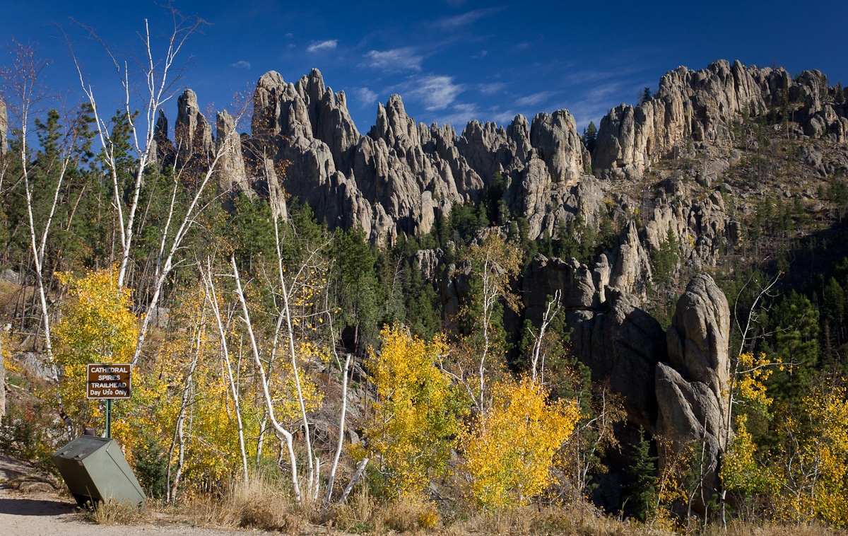 Rock formations in the forest