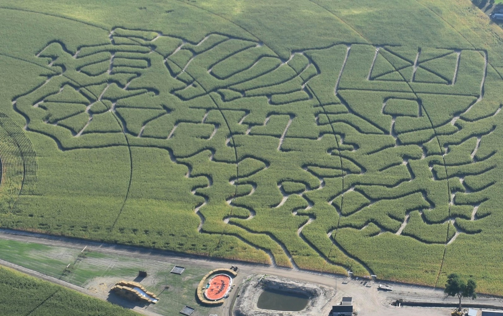 Baseggio Pumpkin Patch & Corn Maze, Colorado