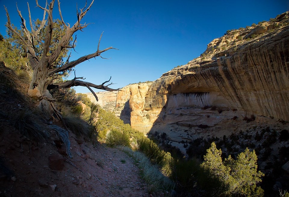 View from within canyon