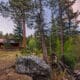 Cabin rental near river in forest