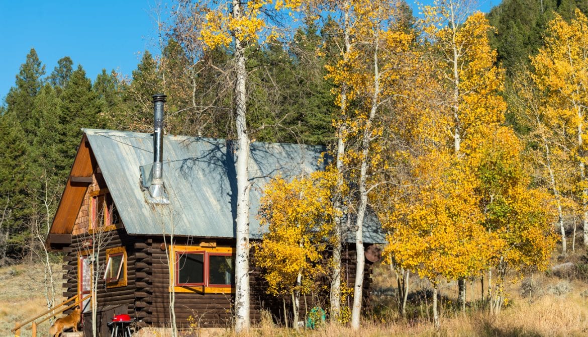 Fall colors around a cabin