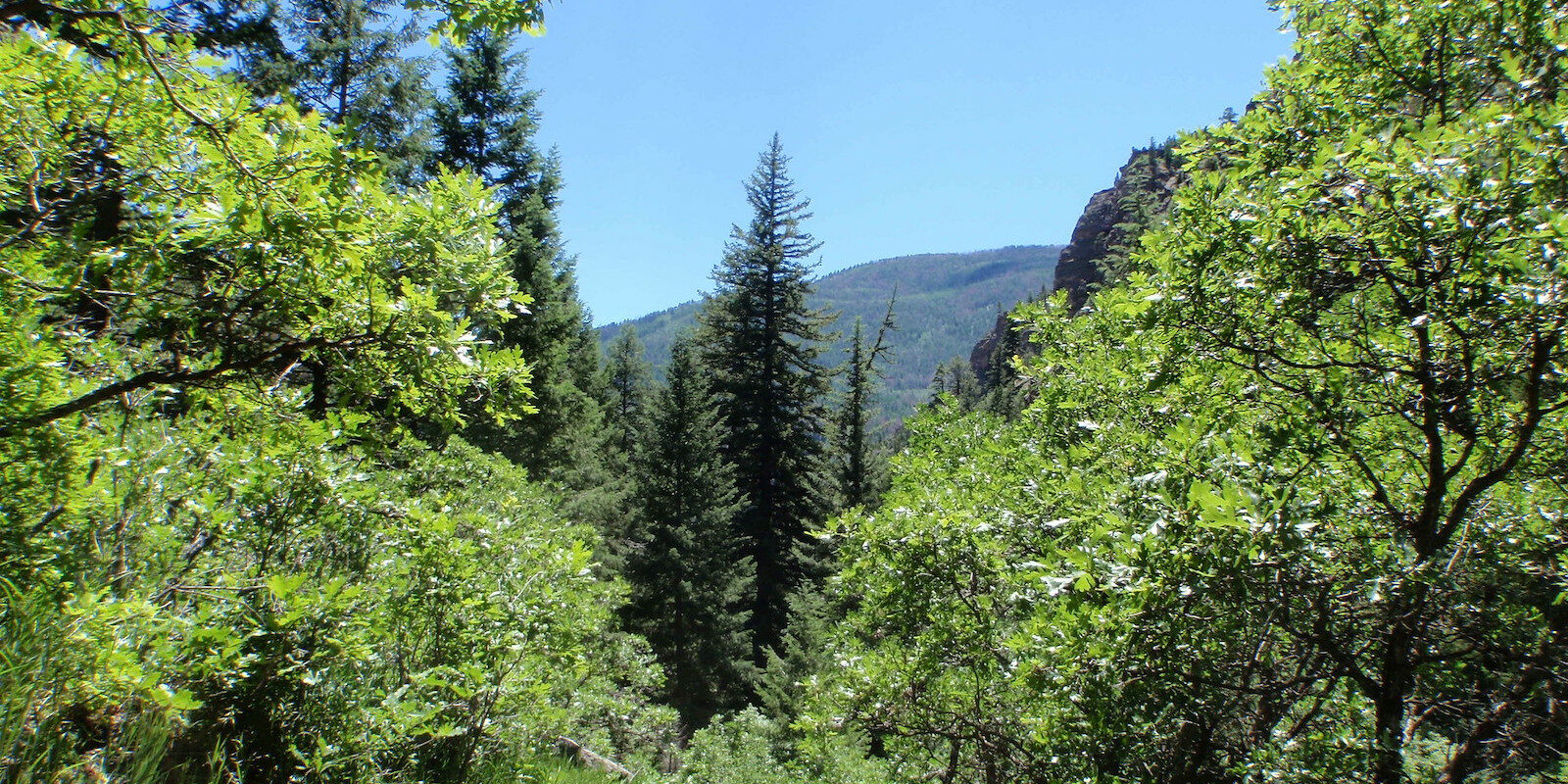 Image of Grizzly Creek Glenwood Springs, Colorado