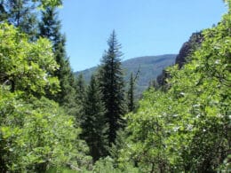 Image of Grizzly Creek Glenwood Springs, Colorado