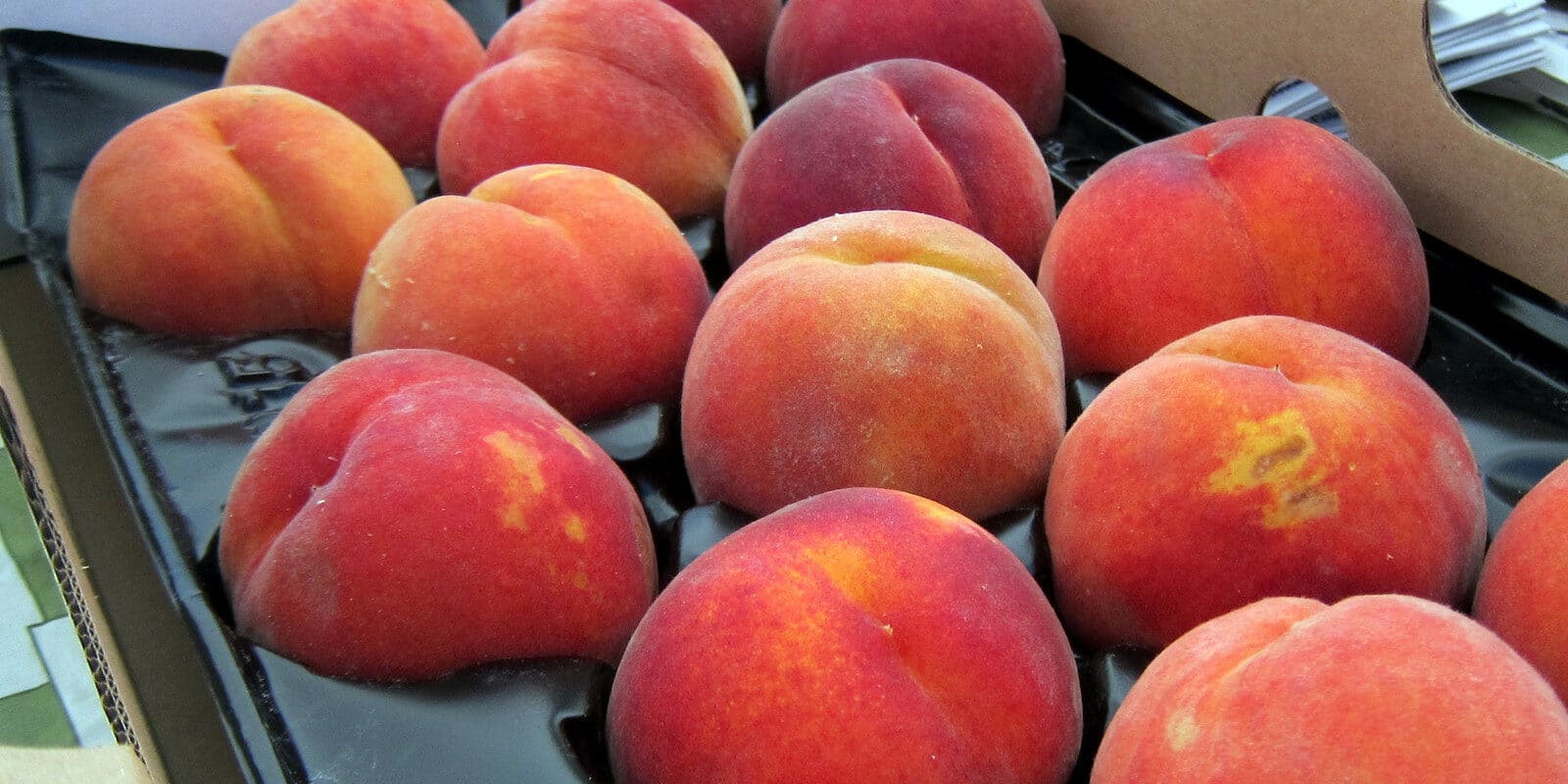 It s Palisade Peach Season Uncover Colorado It s Palisade Peach Season Uncover Colorado