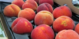 Palisade Peaches from Suncrest Orchard sold in Denver CO