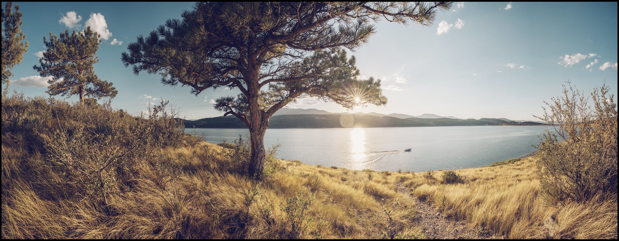 Sunny day on lake with a tree