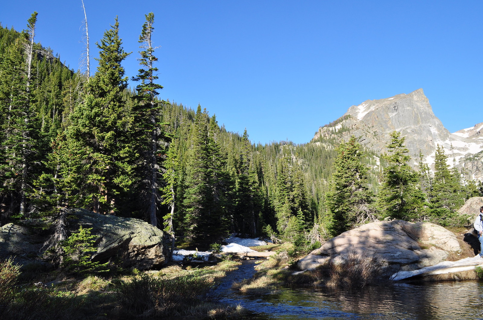 On The Trail To Emerald Lake, Colorado