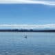 Cherry Creek Reservoir Boating Colorado