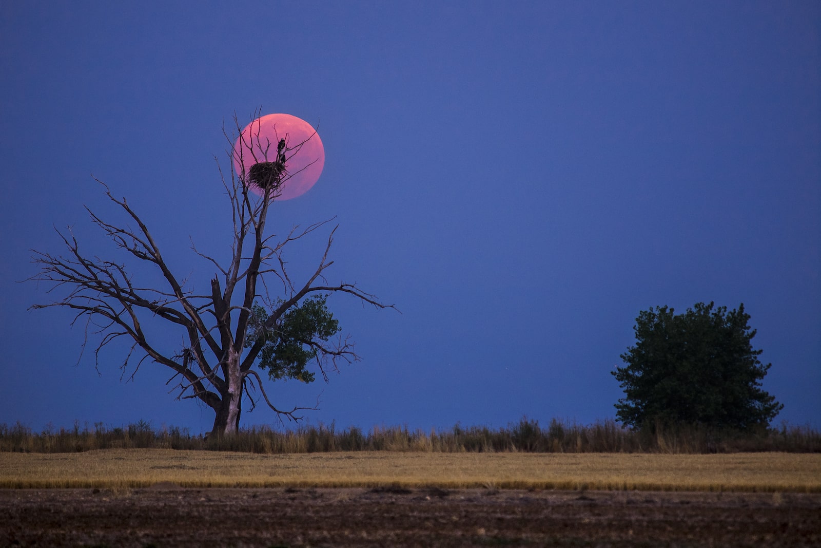 Colorado Eagles Nest Moonset