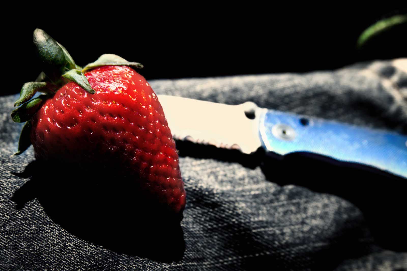 Knife and strawberry rest on jeans in Colorado